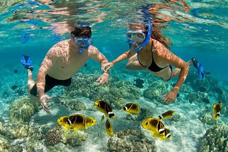Safari Blue Sea Adventure in Zanzibar
