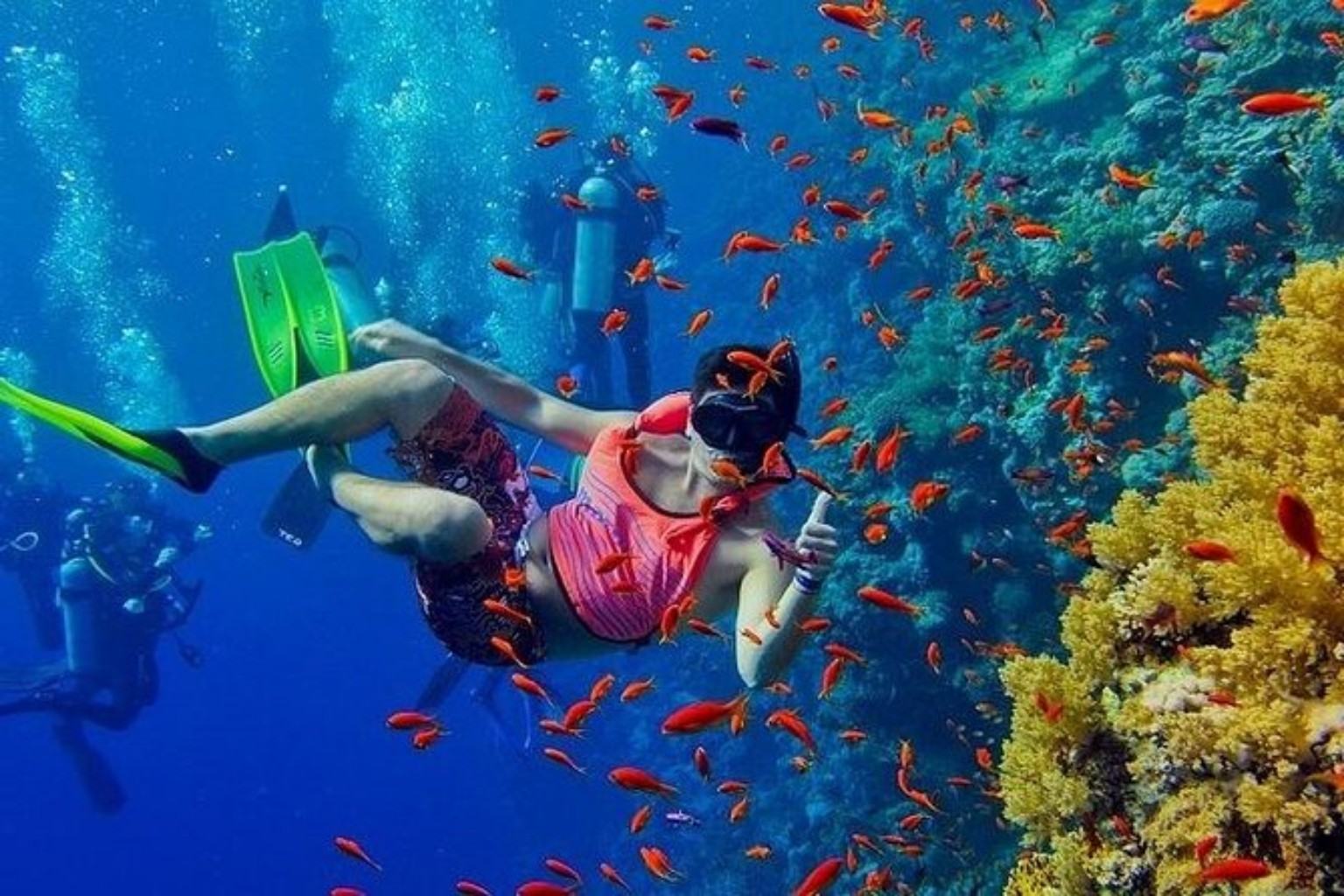 Mnemba Atoll Snorkeling