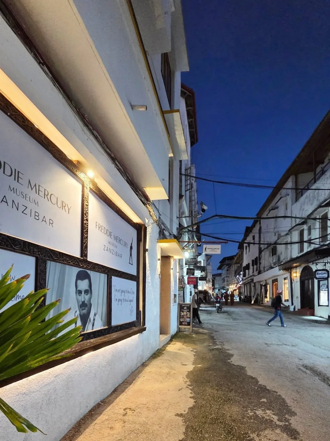 Zanzibar Day Tours