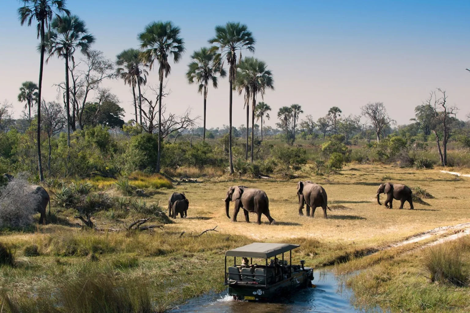 10 Days | 9 Nights Tanzania Safari & Zanzibar Package