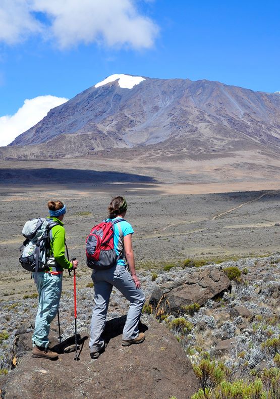 Mount kilimanjaro & beach leisure