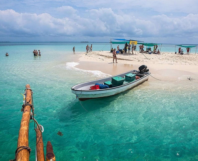 Safari Blue Adventure