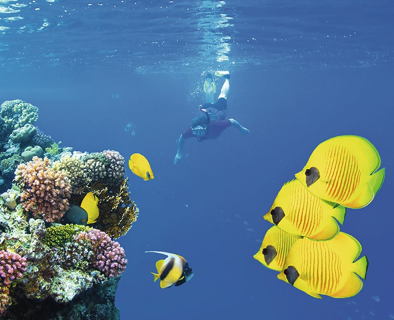Snorkeling at Mnemba Atoll